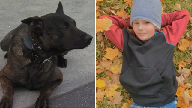 Campbell K-9 officer a tribute to late 10-year-old boy - Vimarsana News