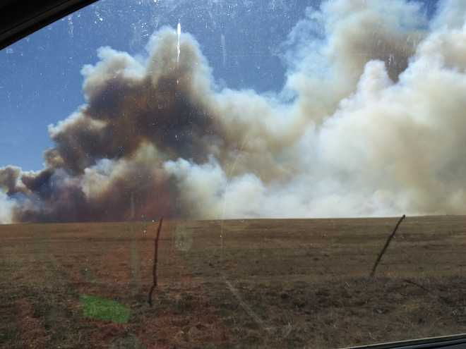Farm Camp Fire grows to 12,000 acres