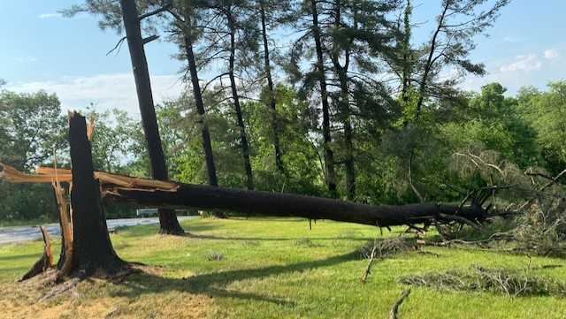 Extensive damage strewn across Maryland after thunderstorms