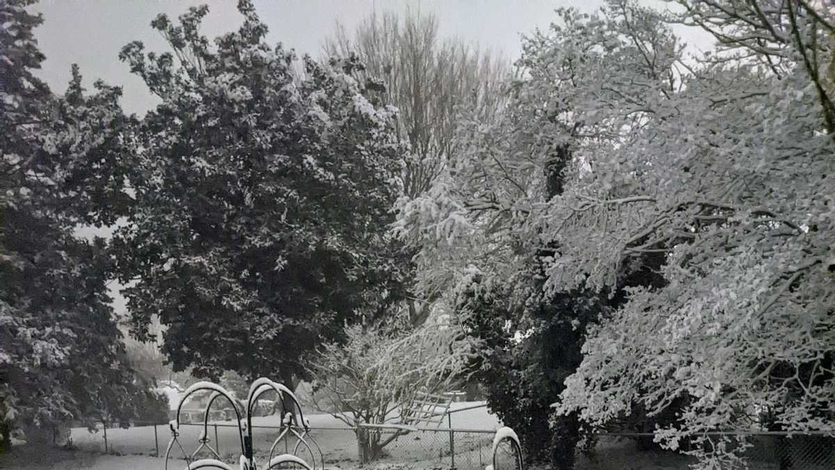 South Carolina Snow pictures