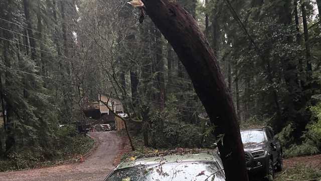 Santa Cruz mountain residents trapped after 'tornado' winds - Vimarsana News