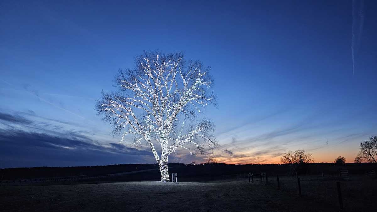 You must see Hanlontown, Iowa's tree covered in Christmas lights