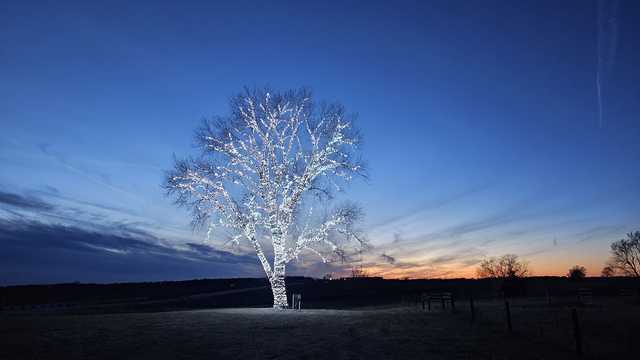 You must see Hanlontown, Iowa's tree covered in Christmas lights - Vimarsana News