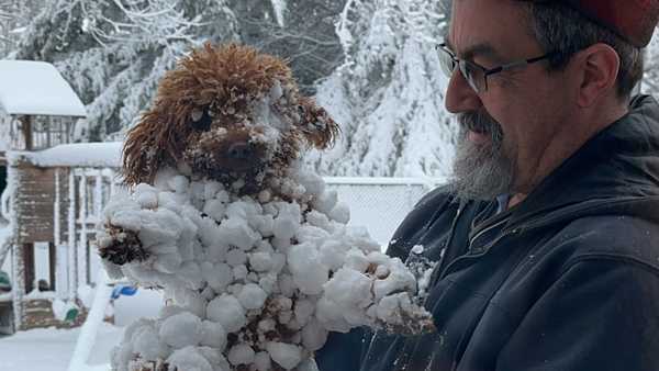 snow photos 01