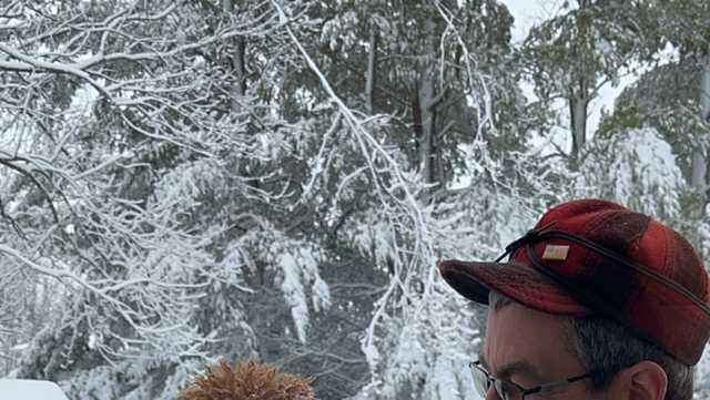 Iowa winter storm: Photos from overnight snowstorm - Vimarsana News