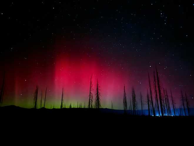 Northern Lights in California: Aurora spotted in parts of
