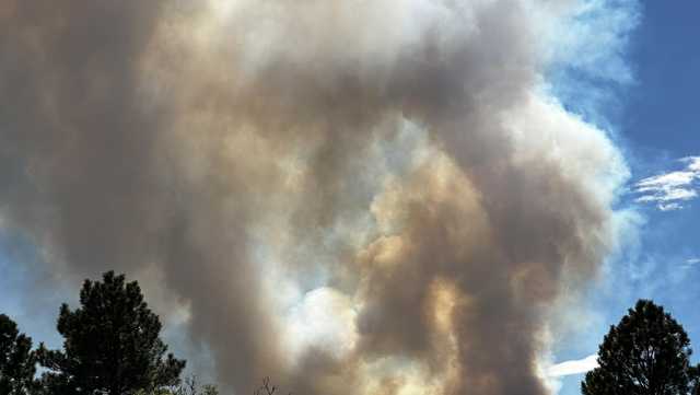 Evacuations ordered due to wildfire in Taos County - Vimarsana News