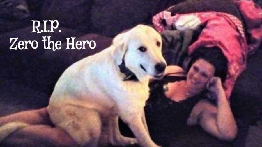 A family is mourning the loss of their beloved dog who gave his life to protect them when a man opened fire at their house.