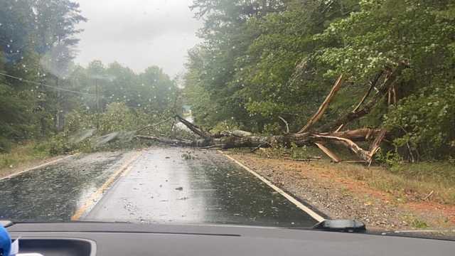 Lee's strong winds bring road closures, topple trees in Maine - Vimarsana News