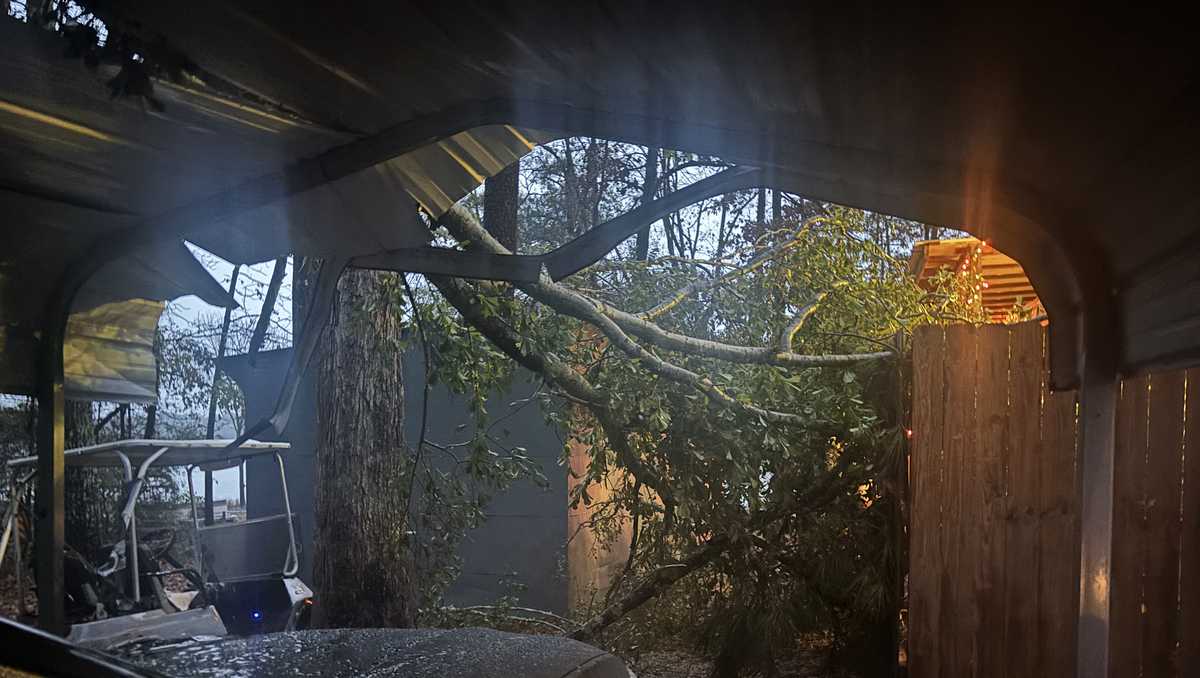 Videos and damage reports: Severe storms cause downed trees on homes, roads blocked