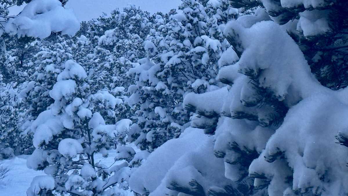 How much did it snow? A look at snow totals across New Mexico