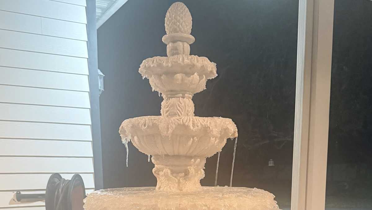 It was so cold in Central Florida on Sunday morning, it broke records, NWS says