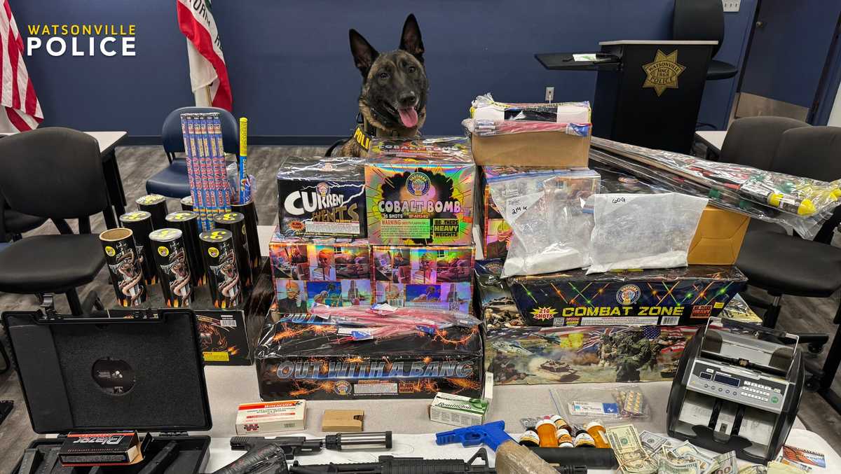 3 kilos of cocaine, guns and cash seized in Aptos