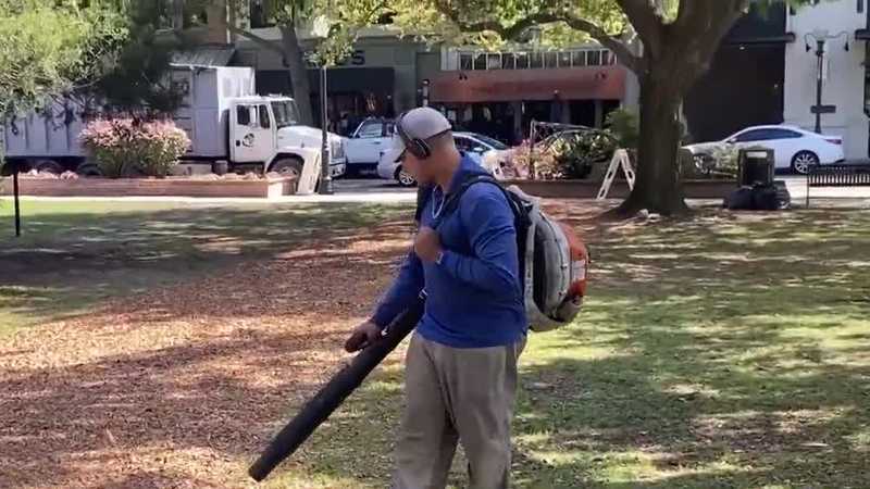 Winter Park voters may scrap leaf blower ban - Vimarsana News
