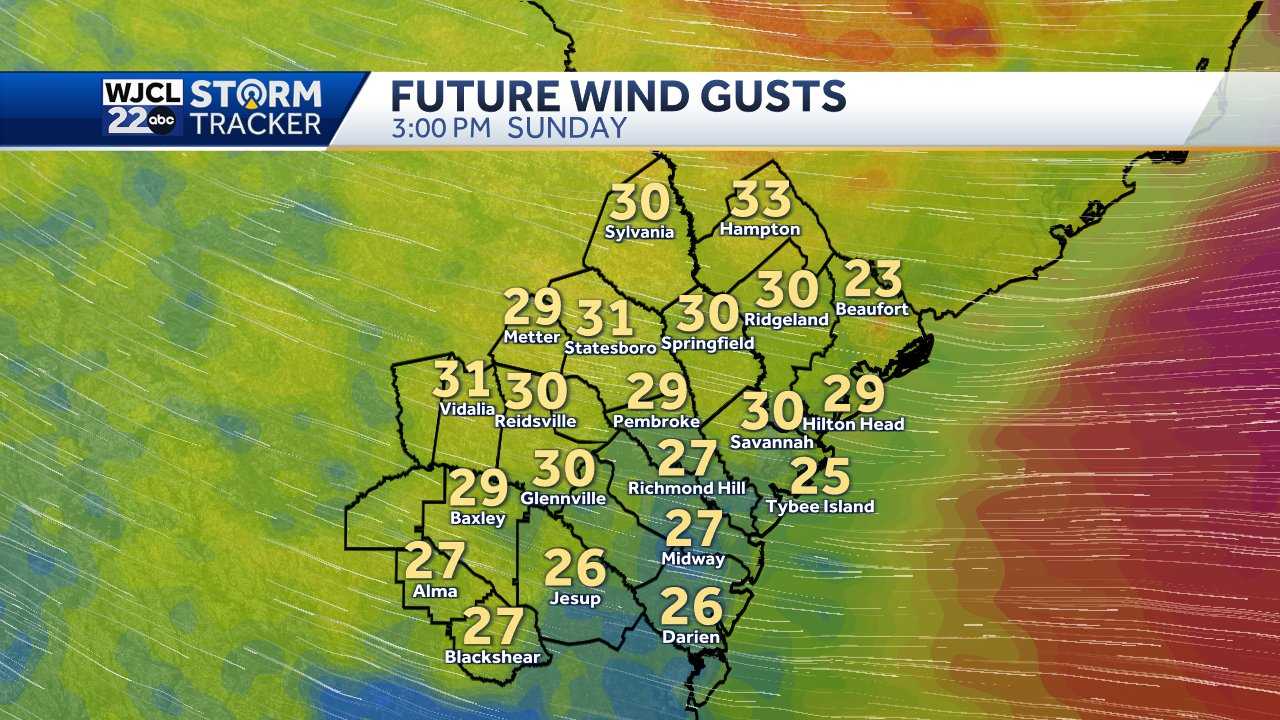Savannah: Big temperature swing ahead - WJCL