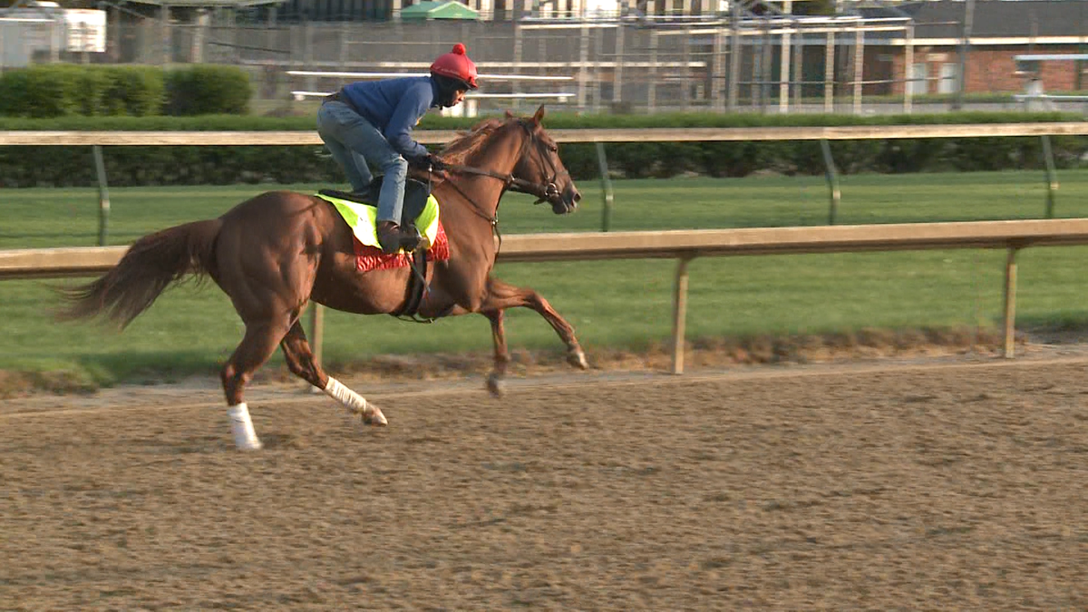 PHOTOS Horses of Kentucky Derby 144