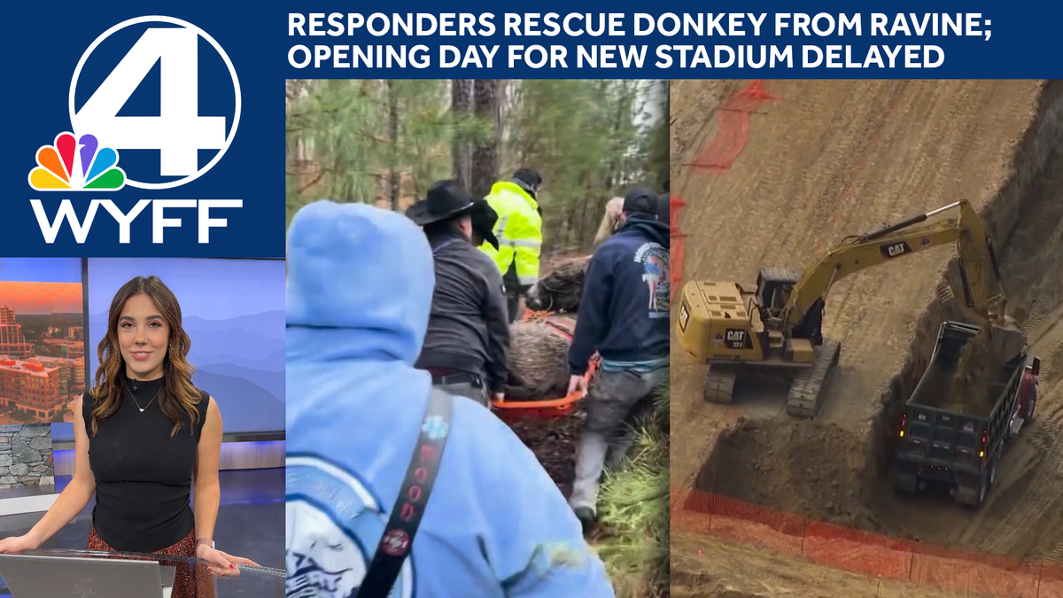 News 4 in 4: Farm animal rescued after falling into ravine + Grand opening for new stadium is delayed