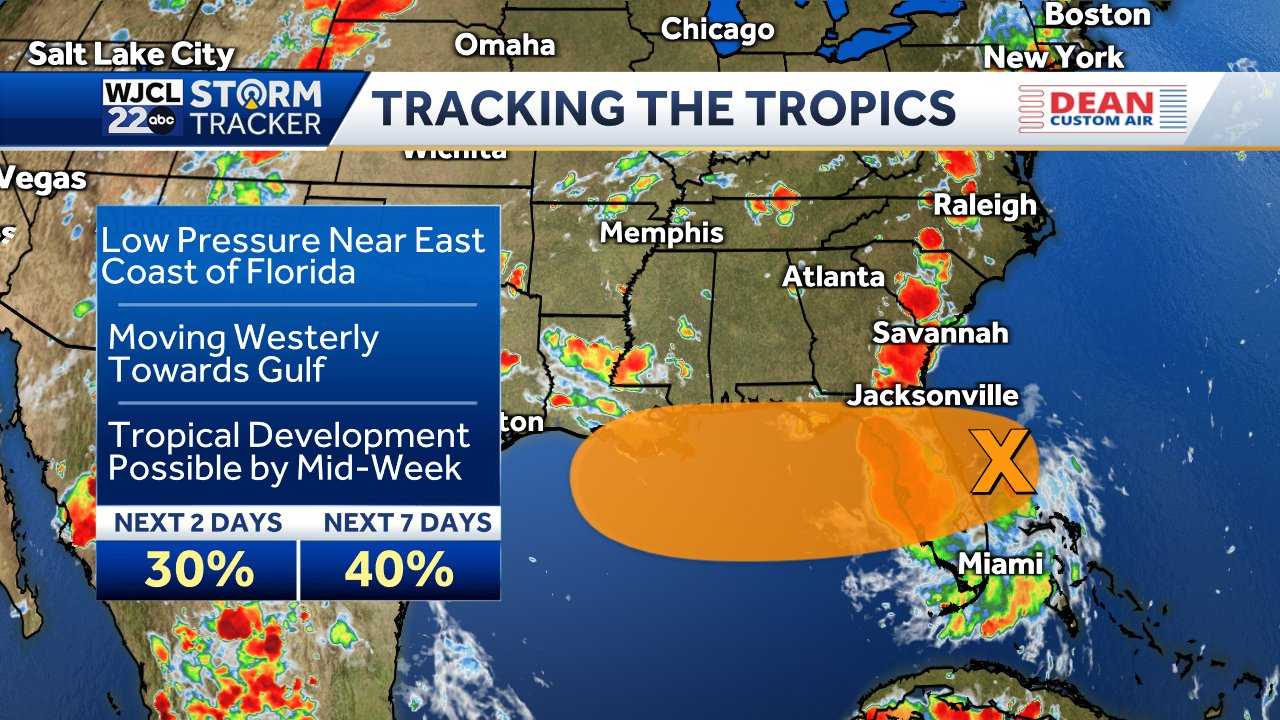 Savannah Tropical development - 40 Percent 68759820c2531 