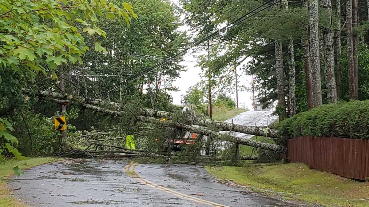 Severe storm causes widespread damage in Brunswick