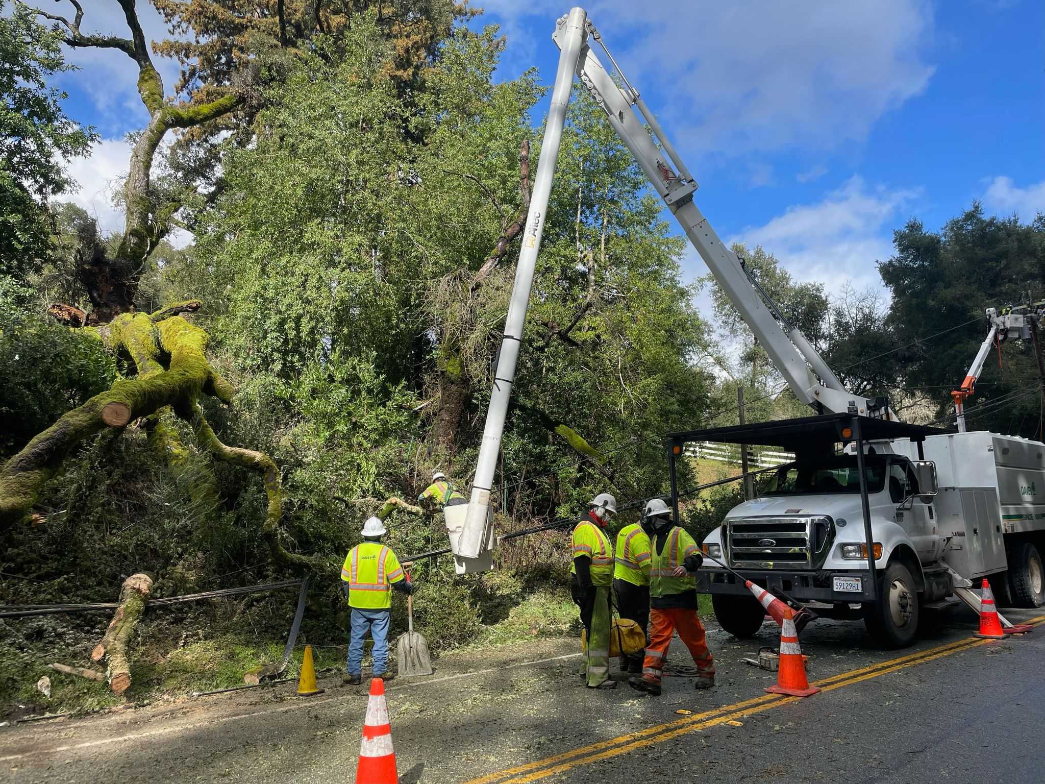 Tree down on Bear Creek causing traffic delays in Santa Cruz Mountains