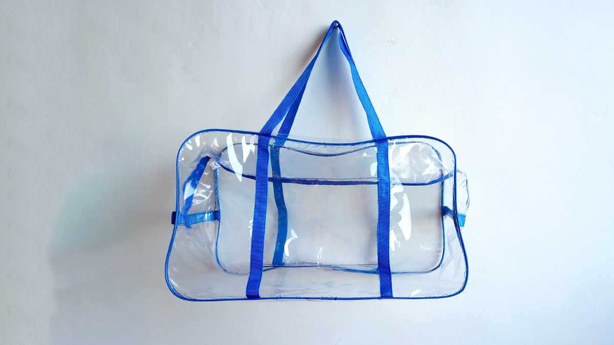 Clear bag policy announced for park in South Carolina