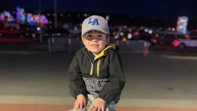 No charges expected in deadly dog attack that killed 4-year-old Alabama boy - Vimarsana News