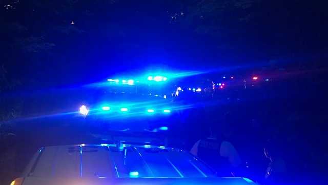 Alabama 4-year-old killed by Old English Bulldog - Vimarsana News
