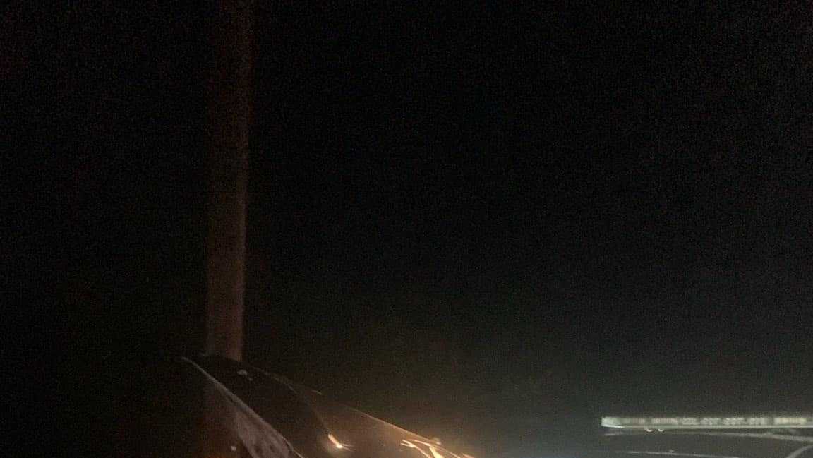 Horse dies after hit by San Joaquin County patrol car - Vimarsana News