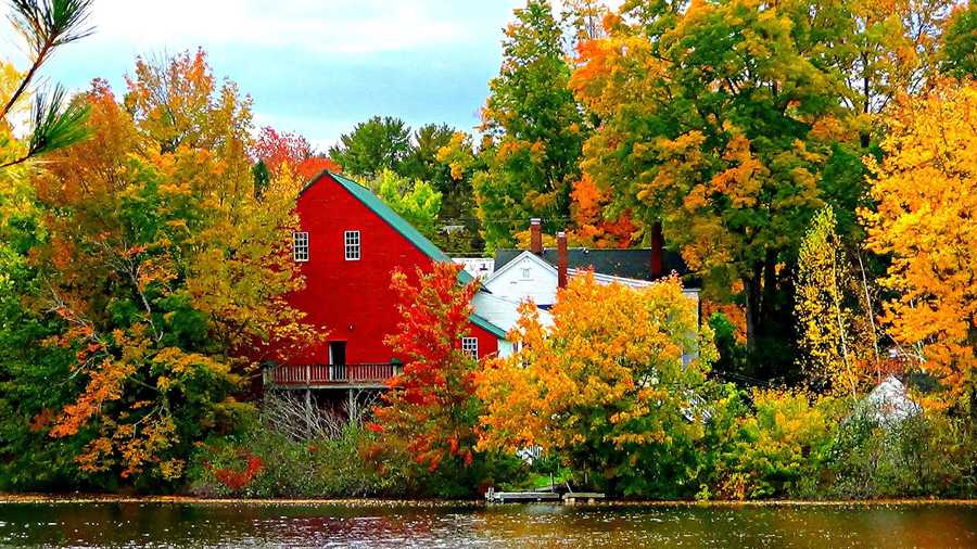 Peak foliage conditions have arrived in most of Maine