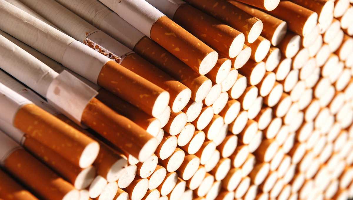 weed vs cigarette Marijuana vs Cigarettes: Comparing Health Risks, Smoke & Lung Effects