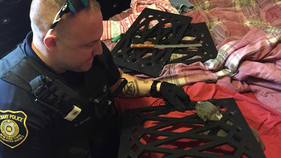 Officers rescue 2-week-old puppy that got head stuck in gate