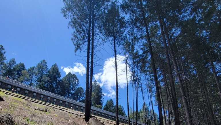 Man dies after car goes over embankment in El Dorado County