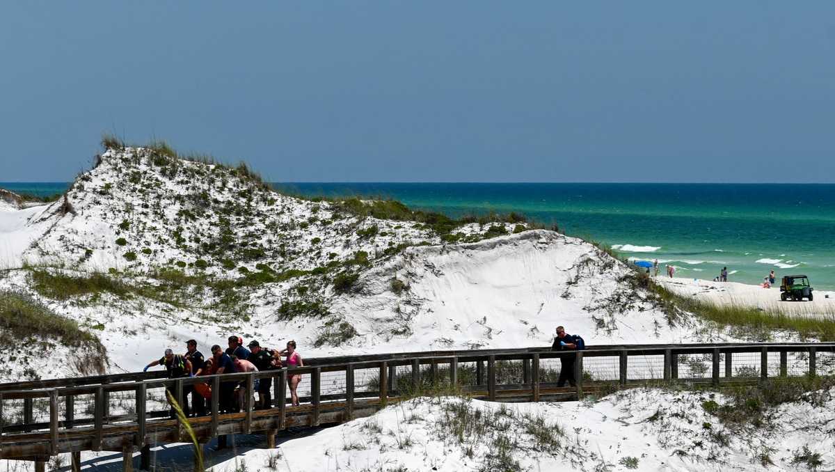 Three people injured Friday in two shark attacks on Gulf Coast beach