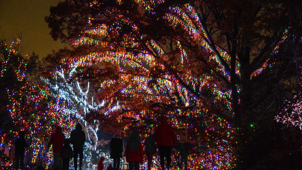 Festival of Lights set to return to Cincinnati Zoo this weekend