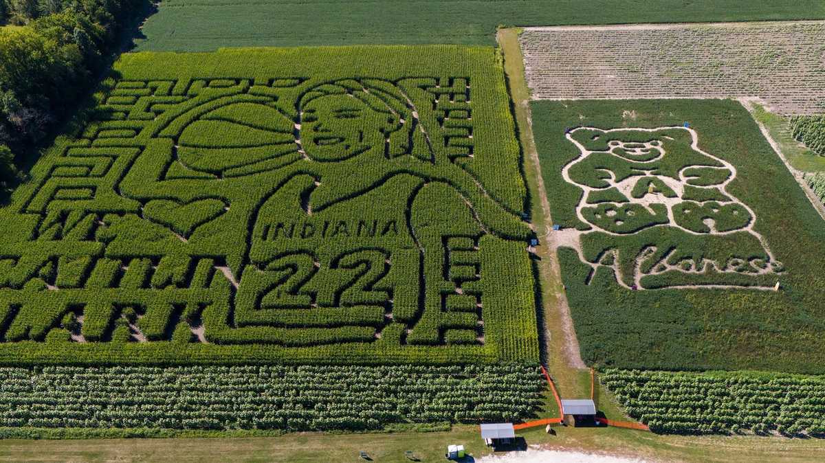 LOOK Indiana farm creates elaborate corn maze dedicated to Caitlin Clark