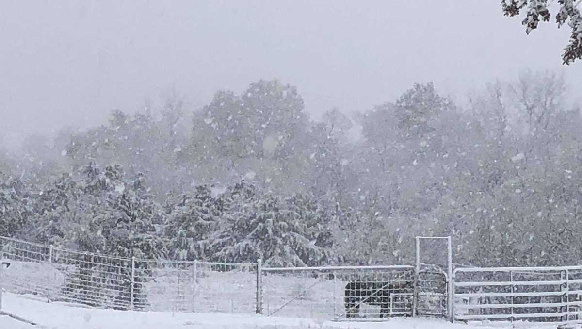 Oklahomans share photos of snow on Nov. 12, 2018