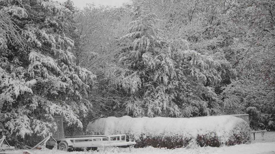 Oklahomans share photos of snow on Nov. 12, 2018