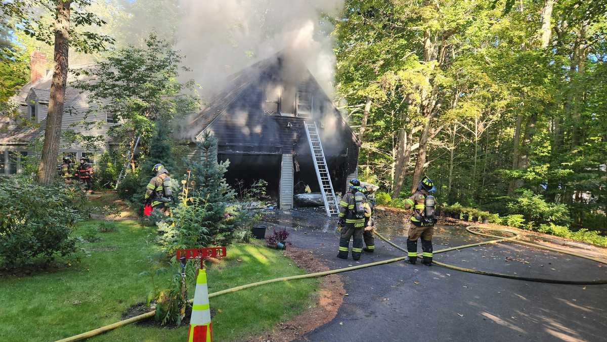 Plants hinder response to house fire in Camden