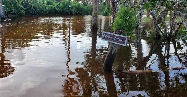 CROW damaged and flooded following Hurricane Helene