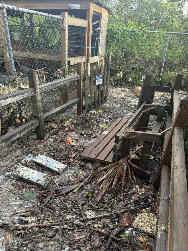 Peace River Wildlife Center in Punta Gorda hit hard by Hurricane Helene