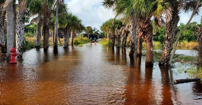 ﻿CROW floods following Hurricane Helene.