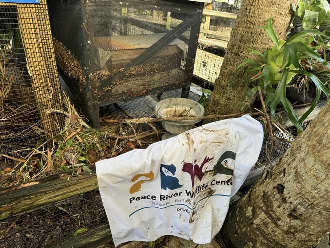 Peace River Wildlife Center in Punta Gorda hit hard by Hurricane Helene