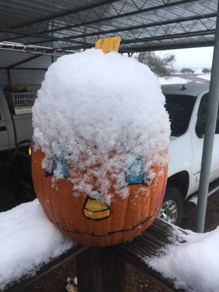 Oklahomans share photos of snow on Nov. 12, 2018