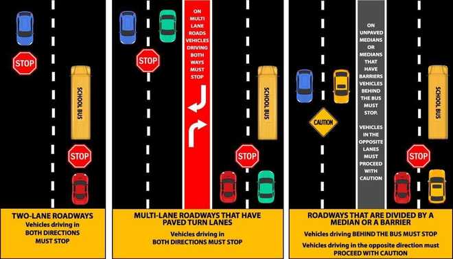 School bus stop rules.