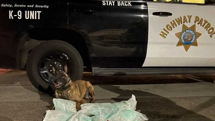 Nearly a quarter million worth of meth found during traffic stop