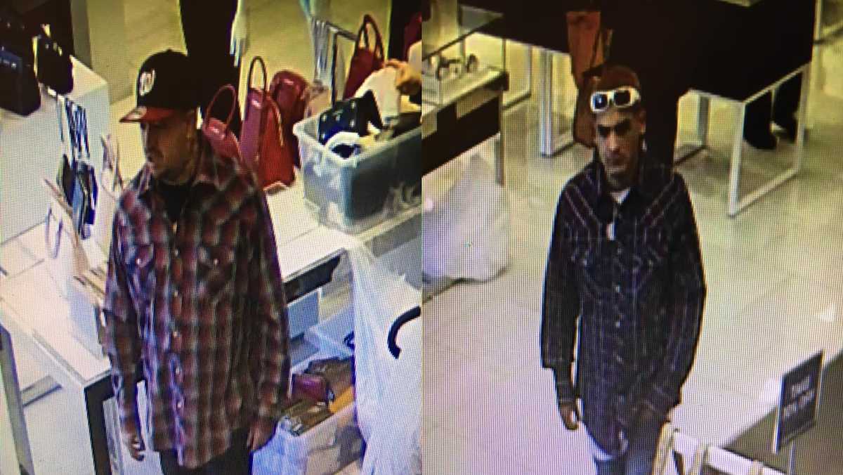 Gilroy Police looking for men who stole $3,500 worth of purses