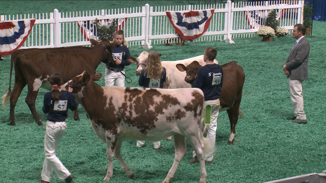 48th annual North American International Livestock Exposition kicks off
