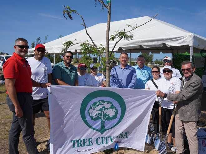 tree city