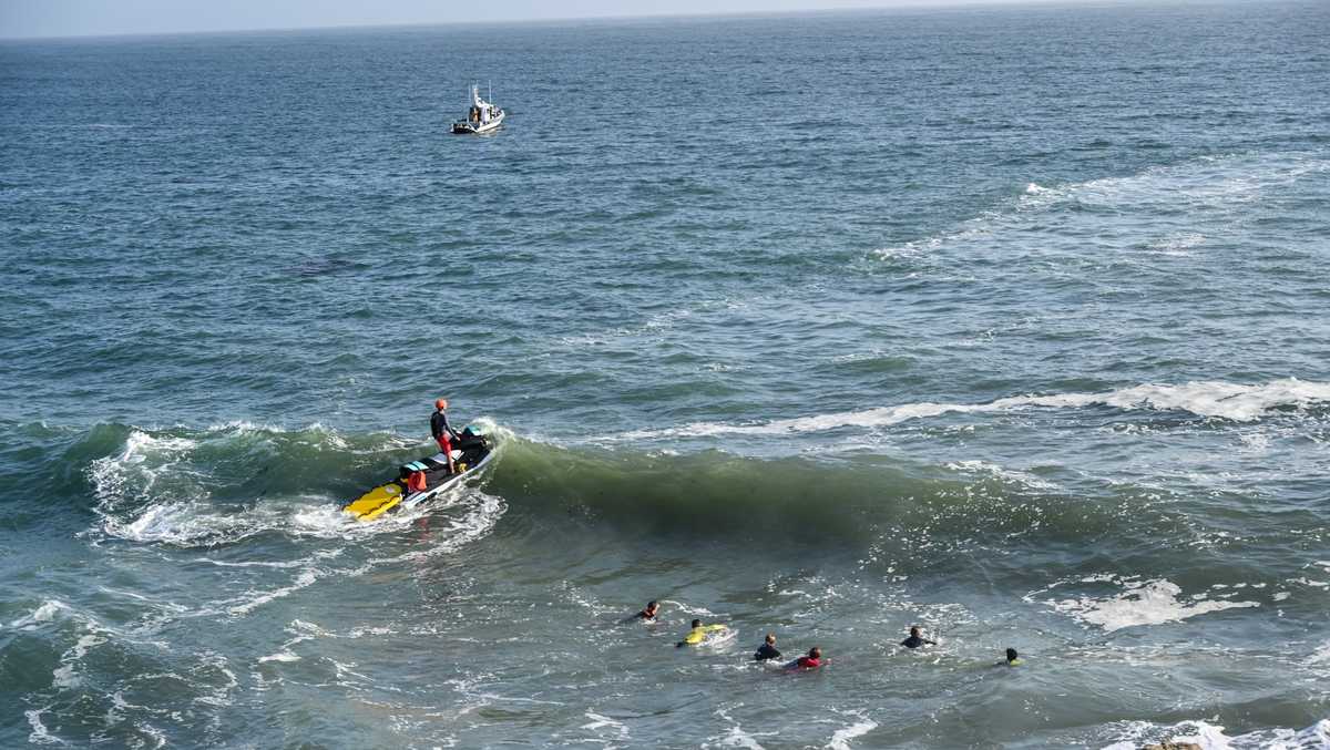 カリフォルニアの崖から飛び降りたスイマーが行方不明であると特定された学生