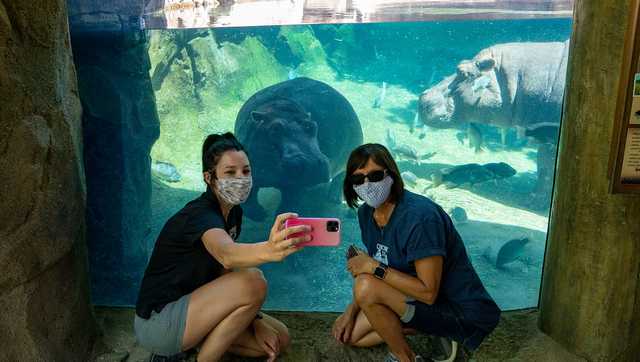 Cincinnati Zoo lifting mask requirement for fully-vaccinated guests starting Wednesday - Vimarsana News
